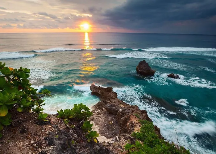 ホステル Surf & Party - Somewhere Else *
